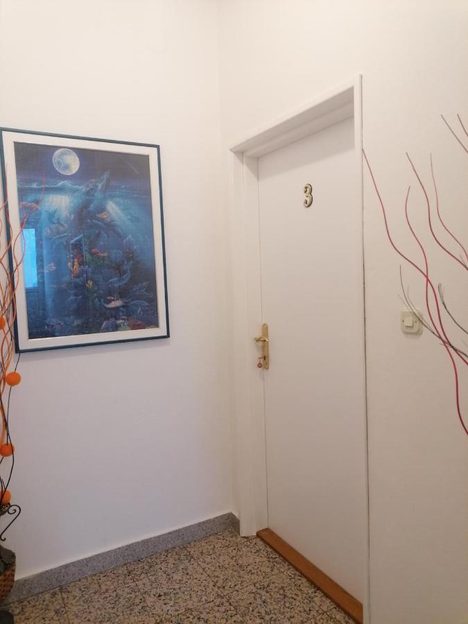 Apartmani Ivana Senj سينج المظهر الخارجي الصورة